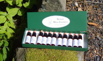 A full set of 15 Tree Moss Essences, plus one box