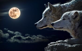1b. Wolf Moon: Nourish yourself