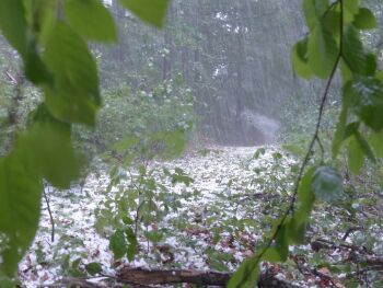 Hail Storm: Clears muddled thoughts and beliefs