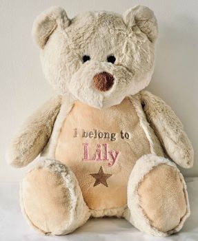   Embroidered Classic Brown Teddy Bear