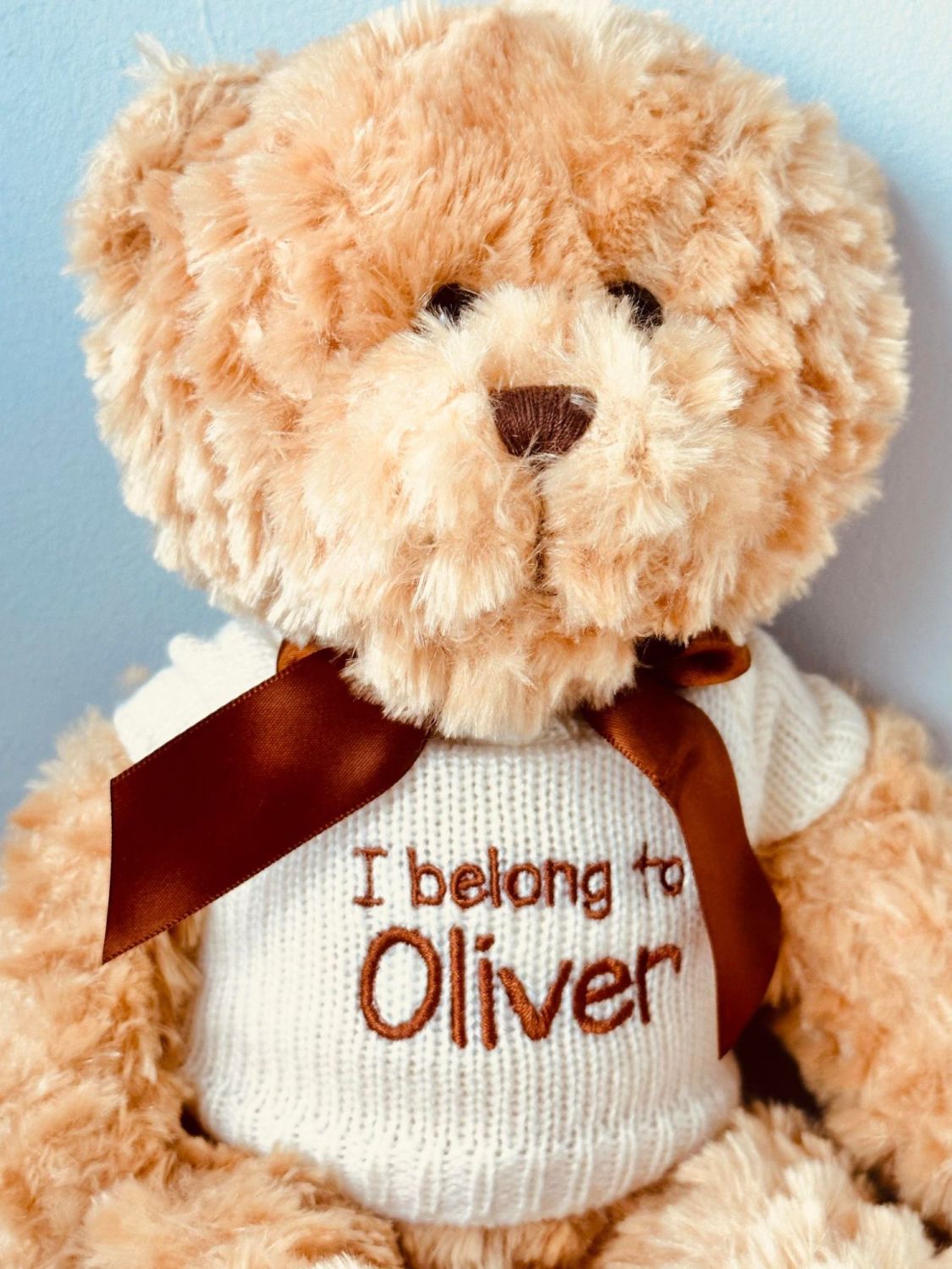 Jumper with teddy bear online