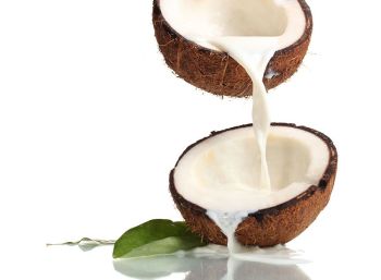 Creamy coconut Wax pot