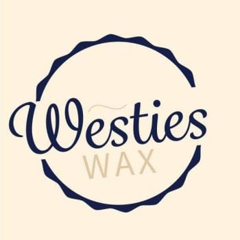 Wax melts 13 for £10