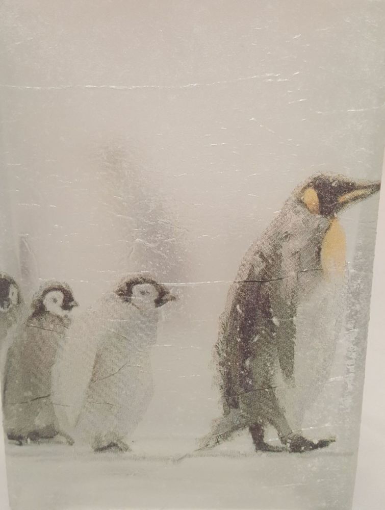 Snowy Penguins 