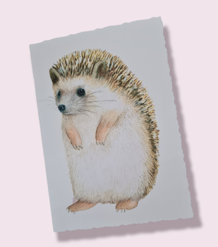 Vintage Hedgehog card
