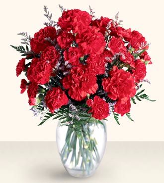 Just Carnations