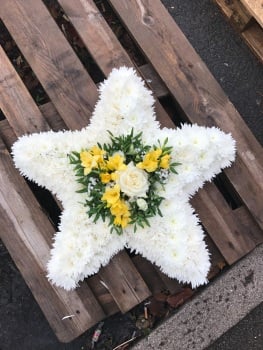 Star Shaped Tribute