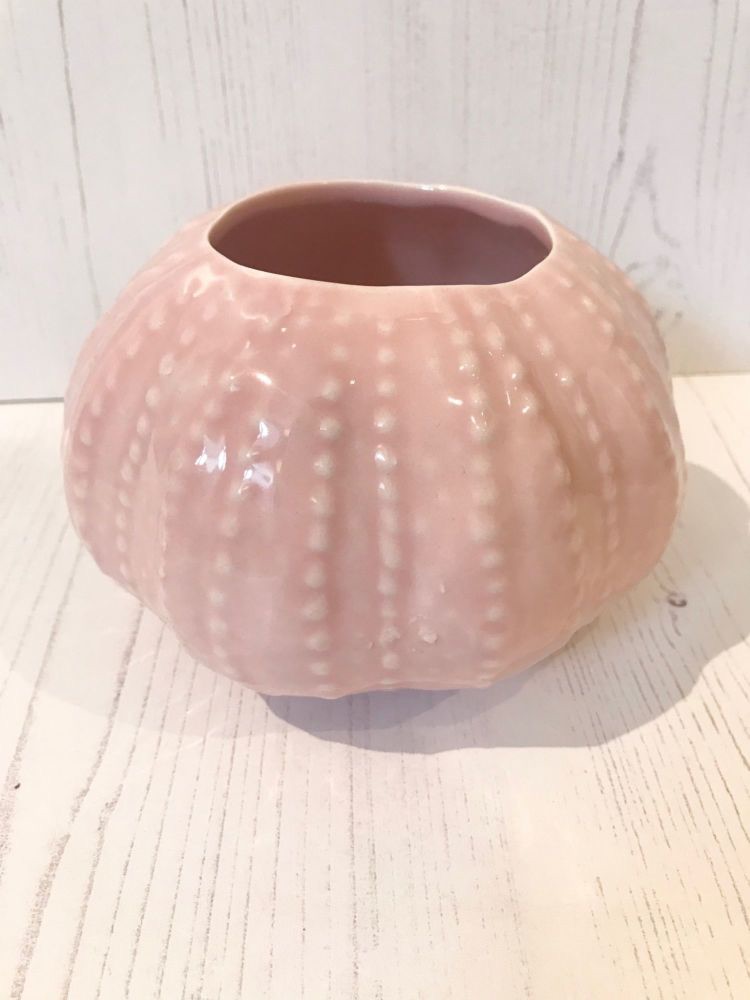 Coral Urchin pot