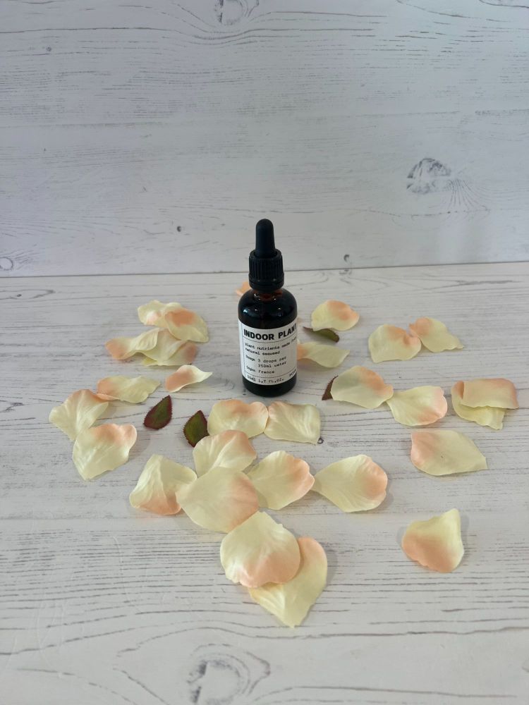 Indoor Plant Plant Nutrient Oil
