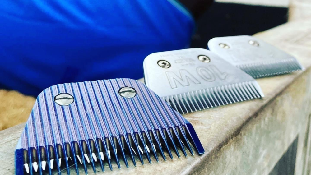 Clipper Blade Sharpening Horse,Cattle & Dog Grooming Blade Blade Sharpening