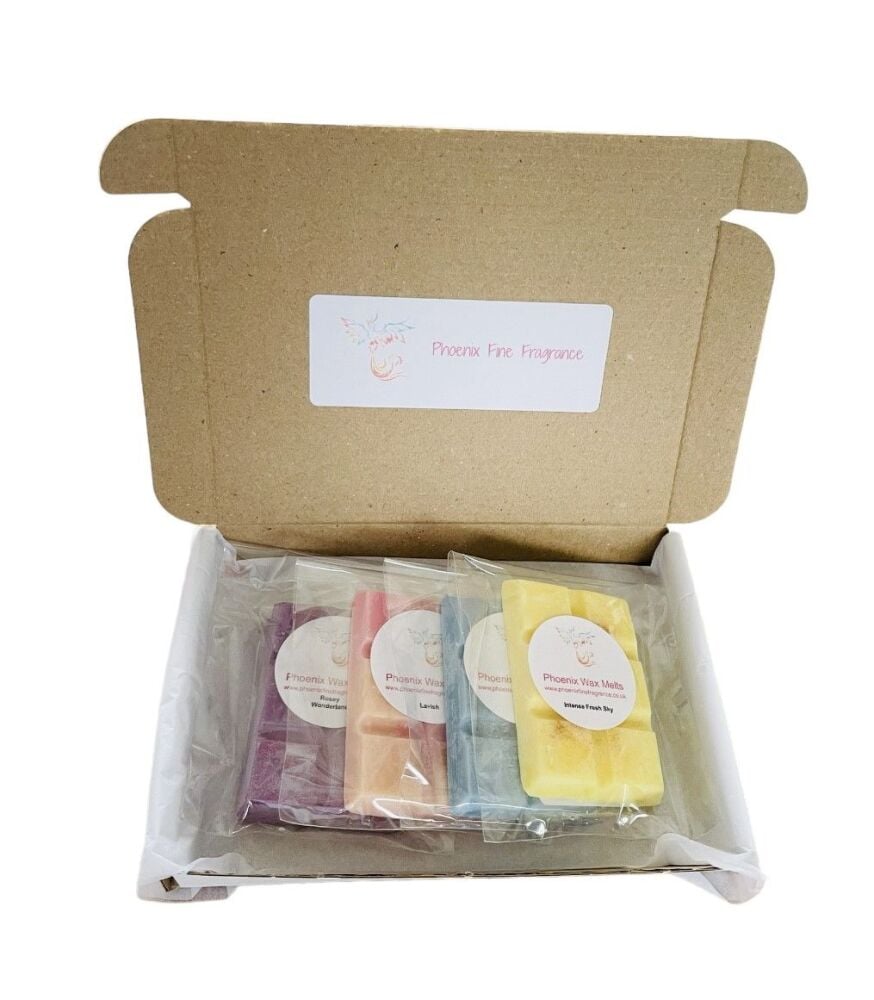 Set of 4 Wax Melts: Laundry