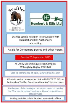 Snaffles Connemara Sale Catalogue