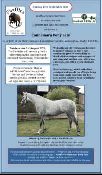 Sale Entry