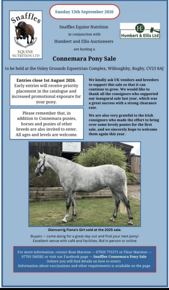 Sale Entry
