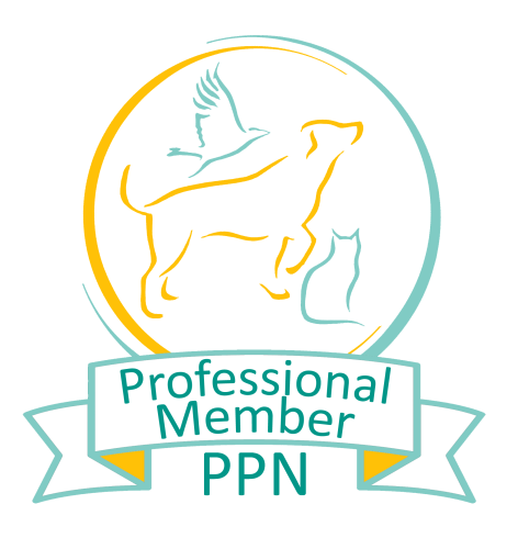 PPN Pro Logo PPN Pro Logo