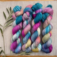 4 ply / Sock Yarn - Sing It Back