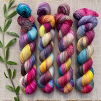 4 ply / Sock Yarn - The Birdwatcher