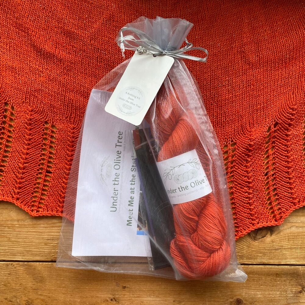 One Skein Shawl Knitting Kit - Meet Me at the Station (Choose Your Yarn)