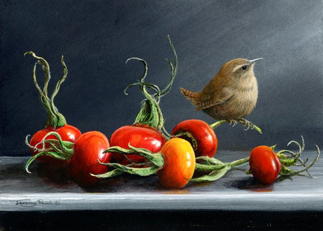Rose Hips And Wren By Jeremy Paul