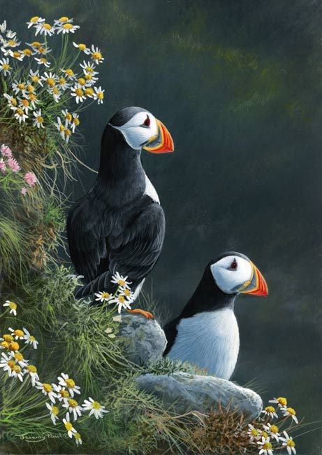 Puffins - Limited Edition Print By Jeremy Paul