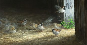 Gleaning And Dusting - Sparrows - Limited Edition Print By Jeremy Paul