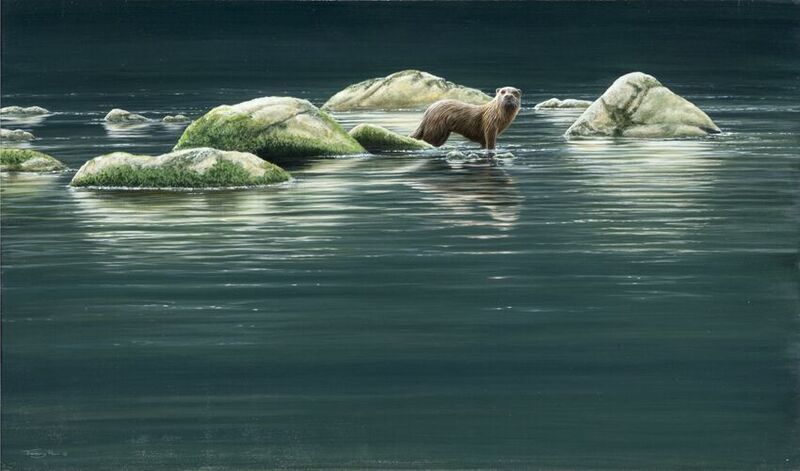 Islands Otter - Limited Edition Art Print By Jeremy Paul