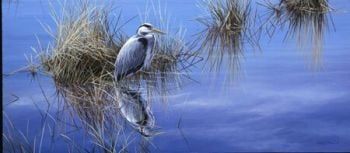 Reflections In Blue - Heron By Jermey Paul