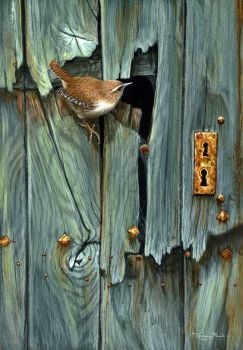 Broken Door - Wren - Limited Edition Print By Jeremy Paul