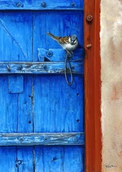 Blue Door - House Sparrow - Limited Edition Print By Jeremy Paul