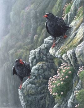 Choughs - Limited Edition Print By Jeremy Paul