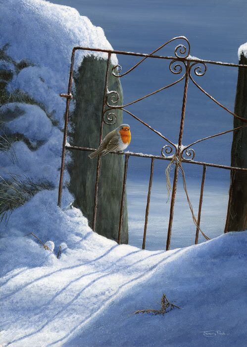 Snow Gate - Robin - Limited Edition Print By Jeremy Paul