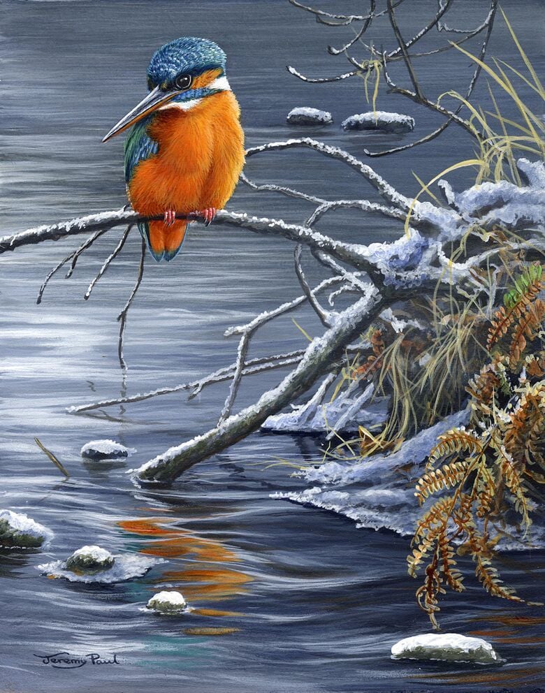 Winter Fishing - Kingfisher - Limited Edition Print By Jeremy Paul 