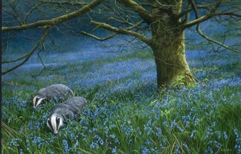Fields Of Blue - Badgers - Limited Edition Print By Jeremy Paul 