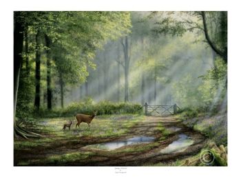Spring's Arrival - Roe Deer & Fawn - Limited Edition Print By Nigel Artingstall