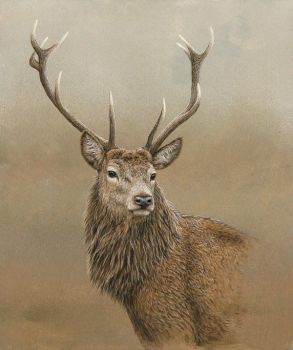 Red Stag Of Etive - Limited Edition Print By Robert E Fuller