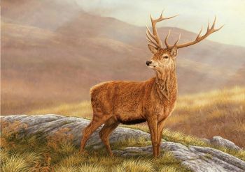 Red Stag - Limited Edition Print by Robert E Fuller