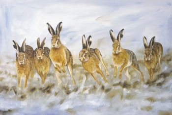 Hare Today - Limited Edition Print By Robert E Fuller