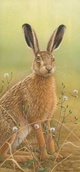 Hare In Mayweed - Limited Edition Print By Robert E Fuller
