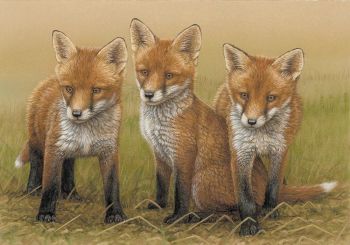 Three's Trouble - Red Fox Cubs - Limited Edition Print By Robert E Fuller