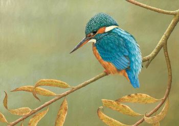Kingfisher On Willow - Limited Edition Print By Robert E Fuller