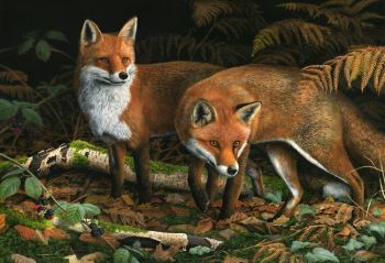 Red Foxes - Limited Edition Print By Nigel Artingstall