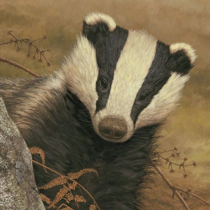 <!-- 004 -->British Mammals