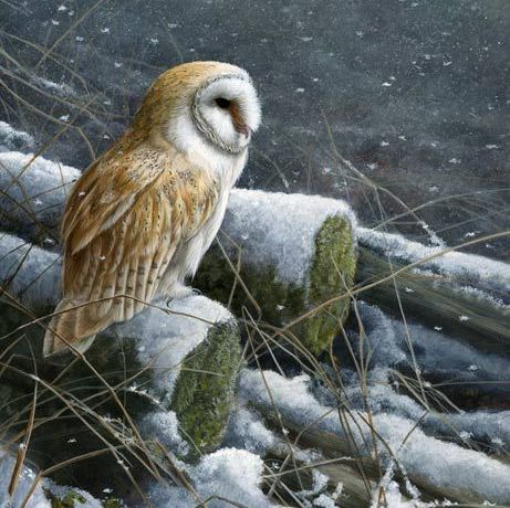 Winter
