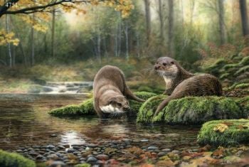 Autumn Stream - Otters - Limited Edition Print By Nigel Artingstall