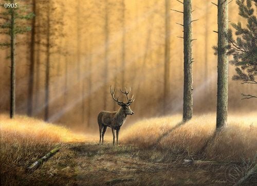 Caledonian Glade - Red Deer Stag - Limited Edition Print By Nigel Artingsta
