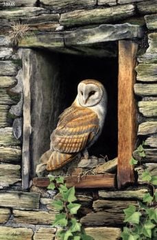 Country Retreat - Barn Owl - Limited Edition Print By Nigel Artingstall