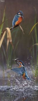 Fishing For Minnows - Kingfishers - Limited Edition Print By Nigel Artingstall