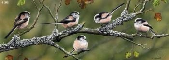 Long Tails And Lichen - Long-Tailed Tits - Limited Edition Print by Nigel Artingstall