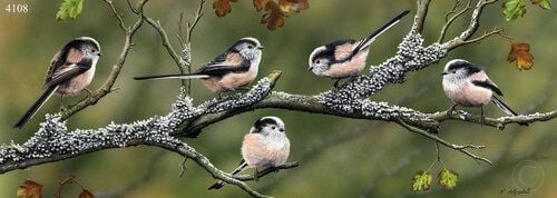 Long Tails And Lichen - Long-Tailed Tits - Limited Edition Print by Nigel A
