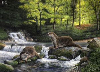 Midsummer Stream - Otters - Limited Edition Print By Nigel Artingstall